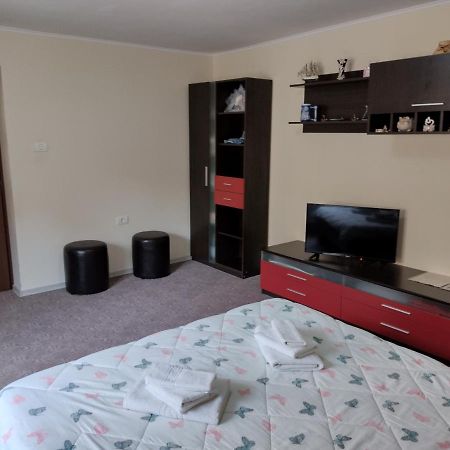 Mario'S Cozy Apartment Rîşnov Eksteriør bilde