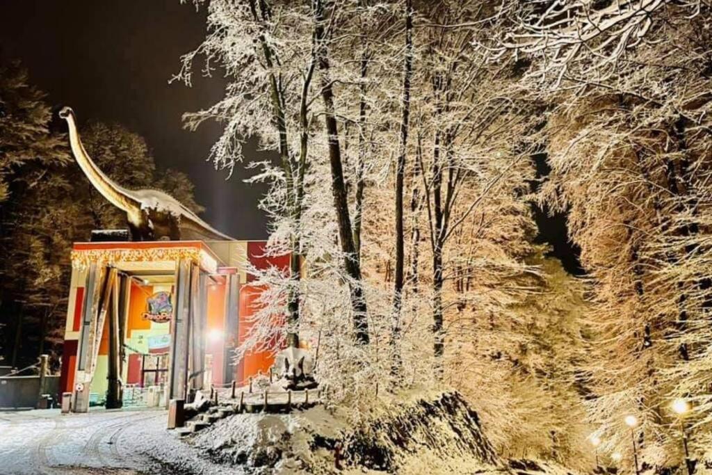Mario'S Cozy Apartment Rîşnov Eksteriør bilde
